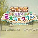 提升厦门网站排名，SEO策略全解析