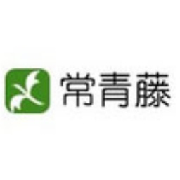 SEO与SEM关系：在数字营销中的协同作用