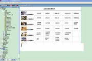 网站快速排名SEO：实现网站高效上升的秘诀