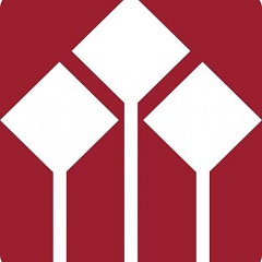 广州SEO排名个人：让您的网站在搜索引擎上游刃有余