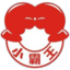 互联网SEO优化产品介绍：助你站在搜索引擎顶峰的秘诀