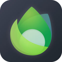 让您的网站蜕变：专业SEO服务提供商助力你的网络成功之旅