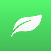 提升企业竞争力的秘密武器——SEO网络推广员