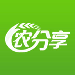SEO关键词是什么？探索SEO关键词的全貌