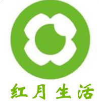 保定新站SEO排名：提升网站流量的最佳方案