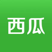 SEO合集排名掉了？别慌，这里有解决方案！