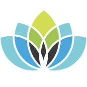 SEO网站优化价格：如何在预算内提升网站流量与排名