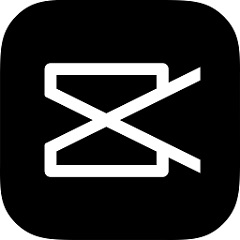 上海SEO服务：助您的企业在互联网时代蜕变与成长