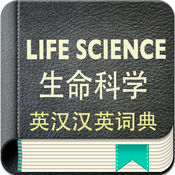 SEO关键词价格查询：精准获取市场竞争力的秘密武器