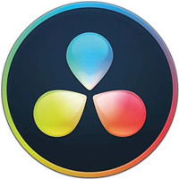 探索SEOI的无限潜力：优化你的数字营销策略