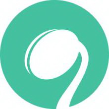 光泽正规SEO排名：助你在数字世界中脱颖而出