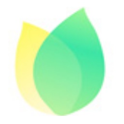 网络公司SEO教程：掌握搜索引擎优化的核心技术