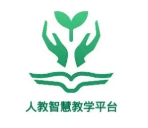视频SEO排名方式详解：提升你的视频流量的必备指南