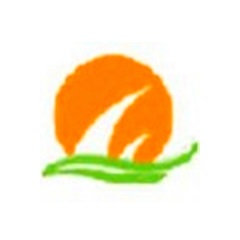 如何通过刷排名网站SEO提升你的在线业务